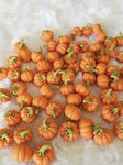 A870-N-04 Mini Pumpkins by the pound- One pound