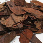 Dried Albezzia Leaves - Jodhshop