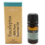 100% Pure Essential Oils Eucalyptus (5mL) - Jodhpuri Online