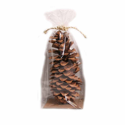 Natural Sugar Pine Cone - 1 piece - Jodhshop