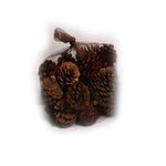 Cranberry Scented Natural and Red Pine Cones in Net - 20 ounces - Jodhshop