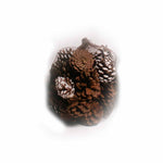Cinnamon Scented Frosted and Natural Pine Cones in Net - 20 ounces - Jodhshop