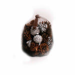 Pine Frost Scented Silver/Natural Pine Cones in Net - 20 ounces - Jodhshop
