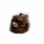 Frosted and Natural Pine Cones in Net - 20 ounces - Jodhshop