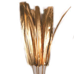 Gold Buri Tips - 60 inches tall - Jodhshop
