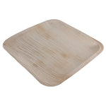 Areca Leaf Square 10 inch Plate - 25/Pack - Jodhshop
