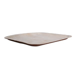 Areca Leaf Square 10 inch Plate - 25/Pack - Jodhshop