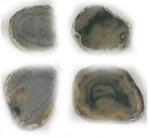 50404: Organic Shape Beige Agate Coasters with Gold Foil Lining - Set of 4 - Jodhpuri Online