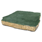 65055: Organic Shape Green Marble Coaster with Gold Foil (Individual Piece) - 4 to 5 inches - Jodhpuri Online