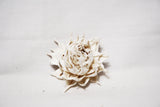 Tip Lotus White Sola Flowers - Jodhshop