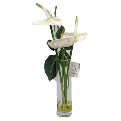 Cream Anthurium in Tall Vase - Jodhshop