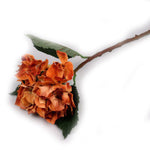 "Indian Orange" Hydrangea Artificial Floral Stems - Jodhshop