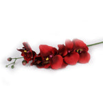 "Red Current" Orchid Artificial Floral Stems - Jodhshop