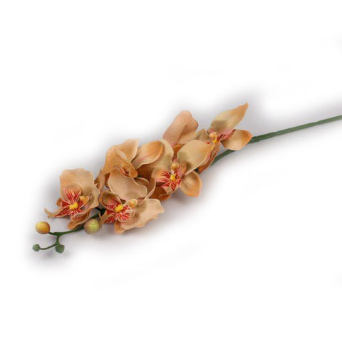 "Apple Pie" Orchid Artificial Floral Stems - Jodhshop