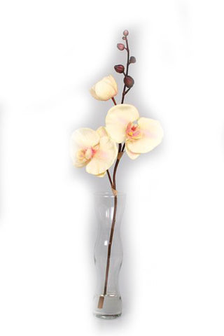 Orchid Wave Flower in Vase - Jodhshop